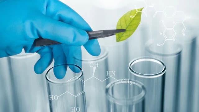 Po jakich studiach można uczyć biologii i uniknąć pułapek kariery?