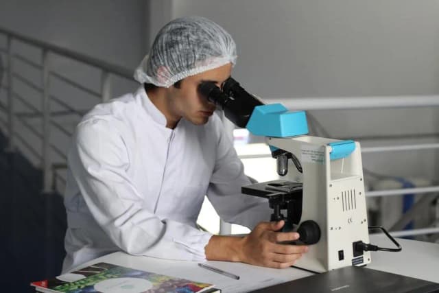 Jak zdać maturę z biologii - skuteczne strategie i porady na sukces Jak zdać maturę z biologii - skuteczne strategie i porady na sukces