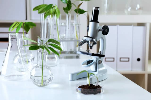 Biologia sądowa czy warto? Odkryj korzyści i perspektywy kariery Biologia sądowa czy warto? Odkryj korzyści i perspektywy kariery
